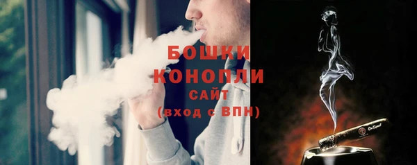 гидропоника Белоозёрский