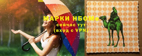 мдпв Белокуриха