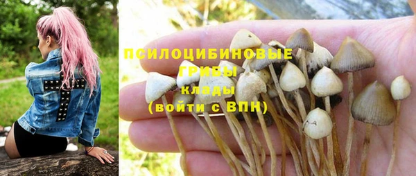 спиды Беломорск