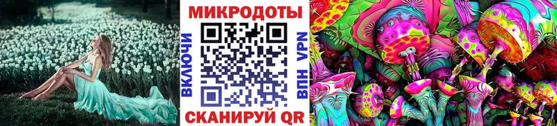 Галлюциногенные грибы прущие грибы  Купить закладки  Великий Устюг 